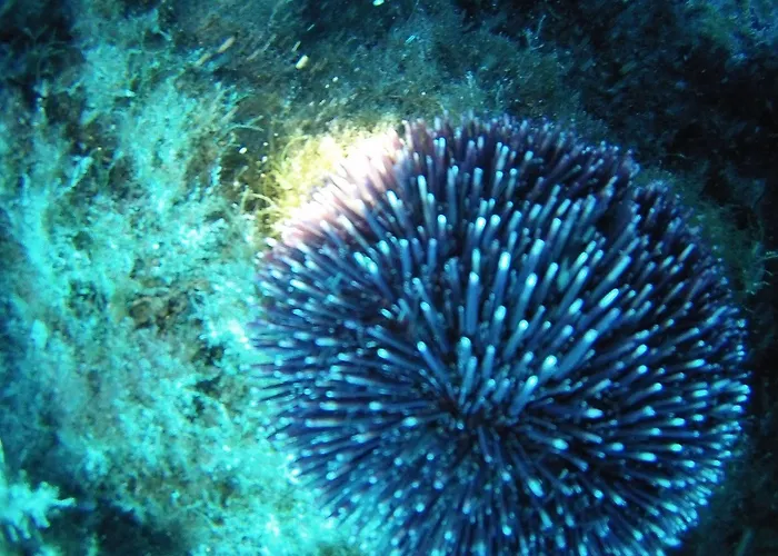 Villaggio & Club Aquilia Lodge Badolato Marina